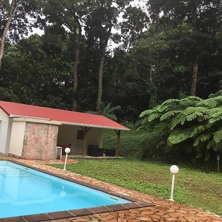 Les Lucioles 1 Beau T2 En Foret Tropicale Avec Acces Piscine Saint-Joseph Buitenkant foto