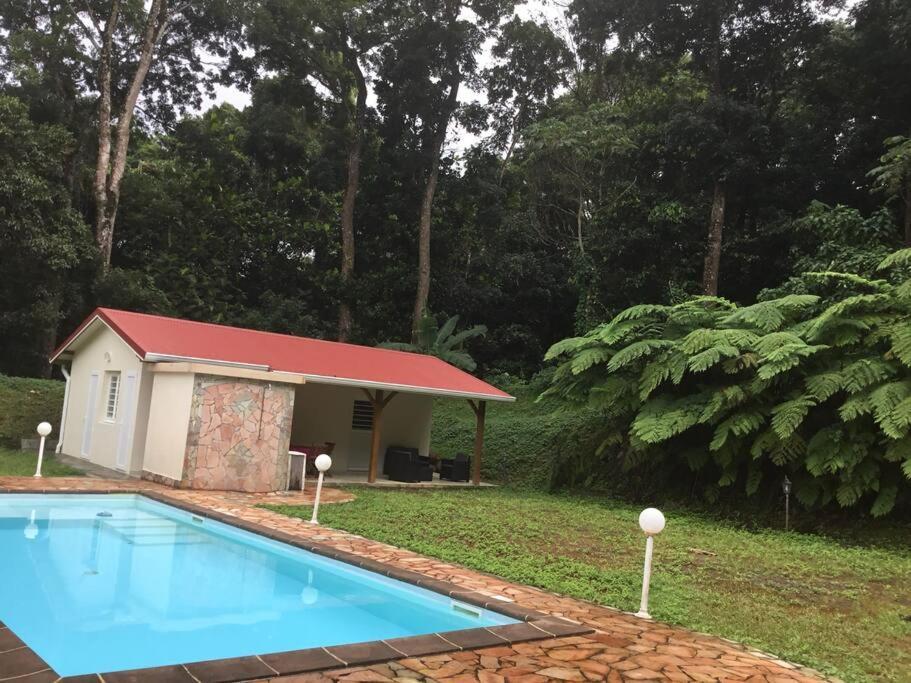 Les Lucioles 1 Beau T2 En Foret Tropicale Avec Acces Piscine Saint-Joseph Buitenkant foto
