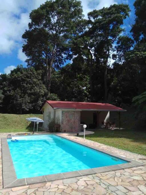 Les Lucioles 1 Beau T2 En Foret Tropicale Avec Acces Piscine Saint-Joseph Buitenkant foto